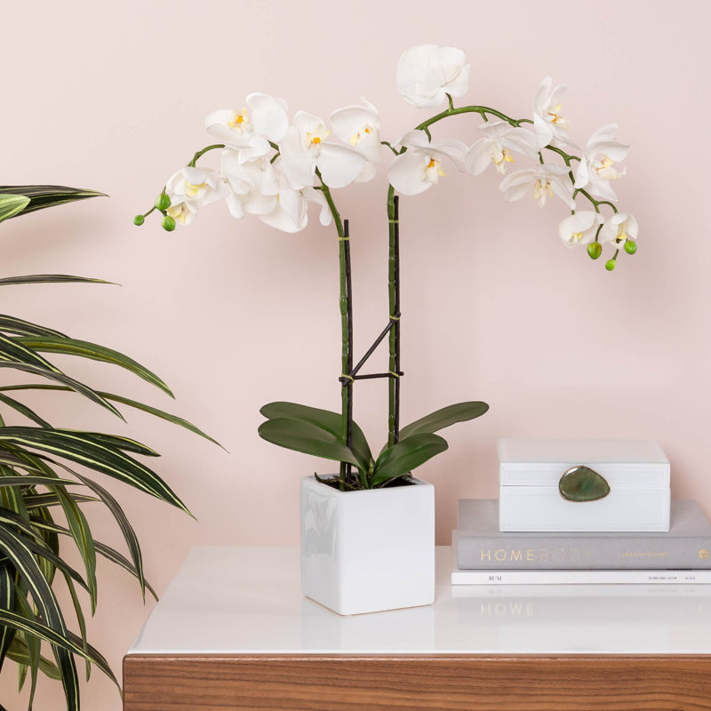 House of Hampton® 18" Artificial FloweringPlant Desktop Plant in Pot